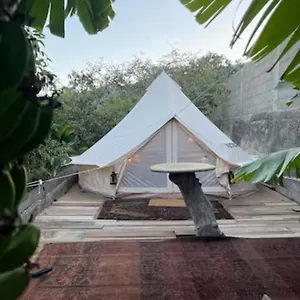 Yurt In Avocado Garden Campo de lujo Güímar